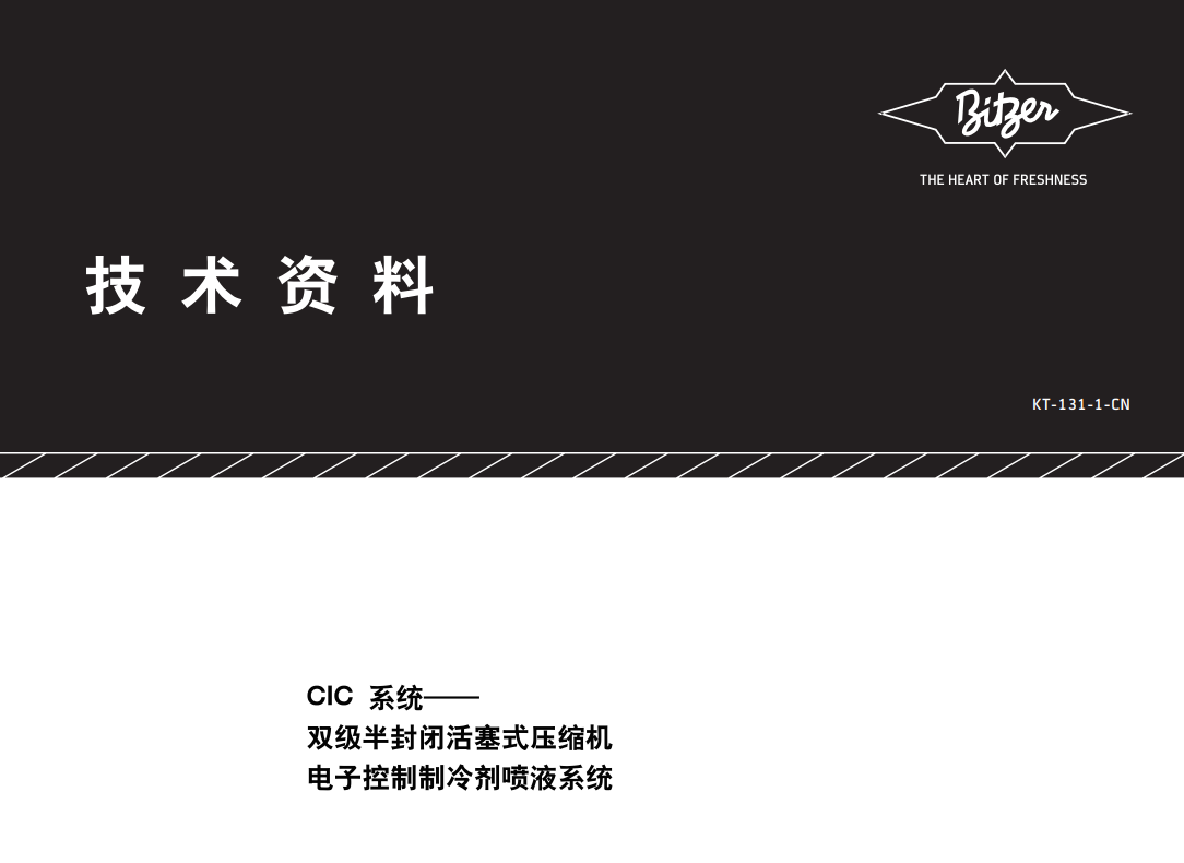 KT-131-1-CN（雙級CIC）